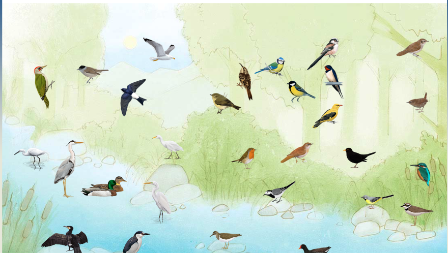 Schermata 2020-03-19 alle 10.23.30