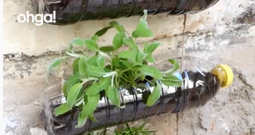 Schermata 2020-03-23 alle 12.14.42